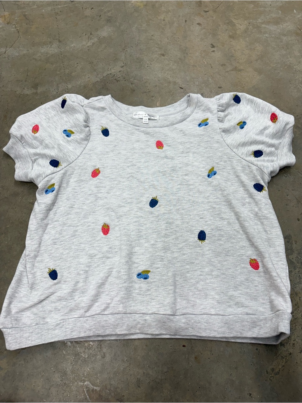 Chelsea & Theodore Embroidered Fruit Puff Sleeve Sweatshirt Women’s 1X